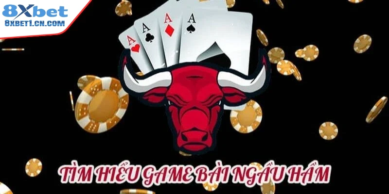 Tổng quan về bài ngầu hầm
