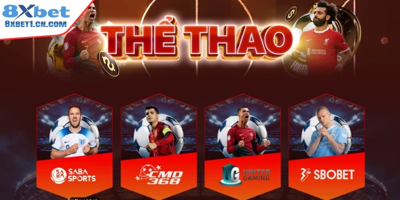 Những nét nổi bật hút người tham gia sảnh thể thao 8Xbet