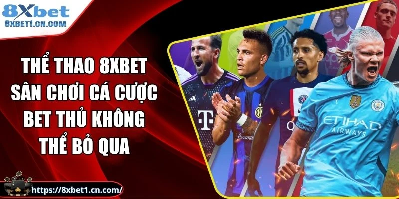 thể thao 8Xbet