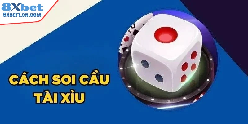 Các loại cầu quan trọng