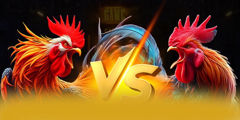 Phản hồi từ thành viên đã trải nghiệm về 8xbet