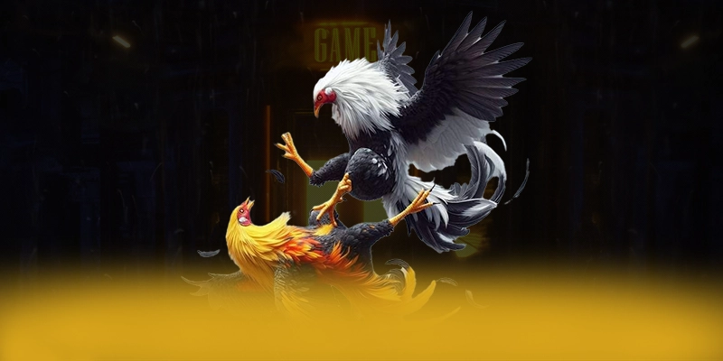 FB88 - Cổng game bài uy tín trên thị trường